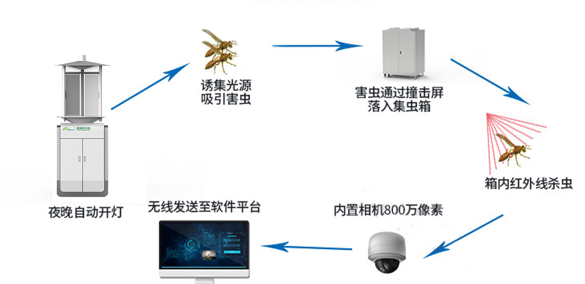 物聯(lián)網(wǎng)蟲情測報系統(tǒng)